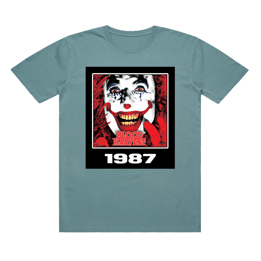 Apparel-DTG-TShirt-ASC-5065-S-FadedSlate-Unisex-CF-20250220050326477