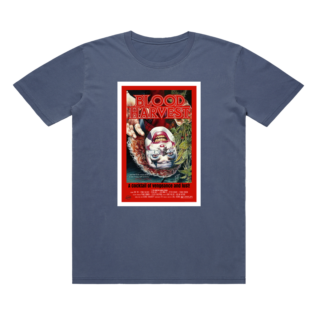 Apparel-DTG-TShirt-ASC-5065-M-FadedBlue-Unisex-CF-20250831074458309