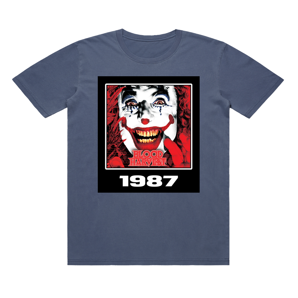 Apparel-DTG-TShirt-ASC-5065-L-FadedBlue-Unisex-CF-20250220050326478