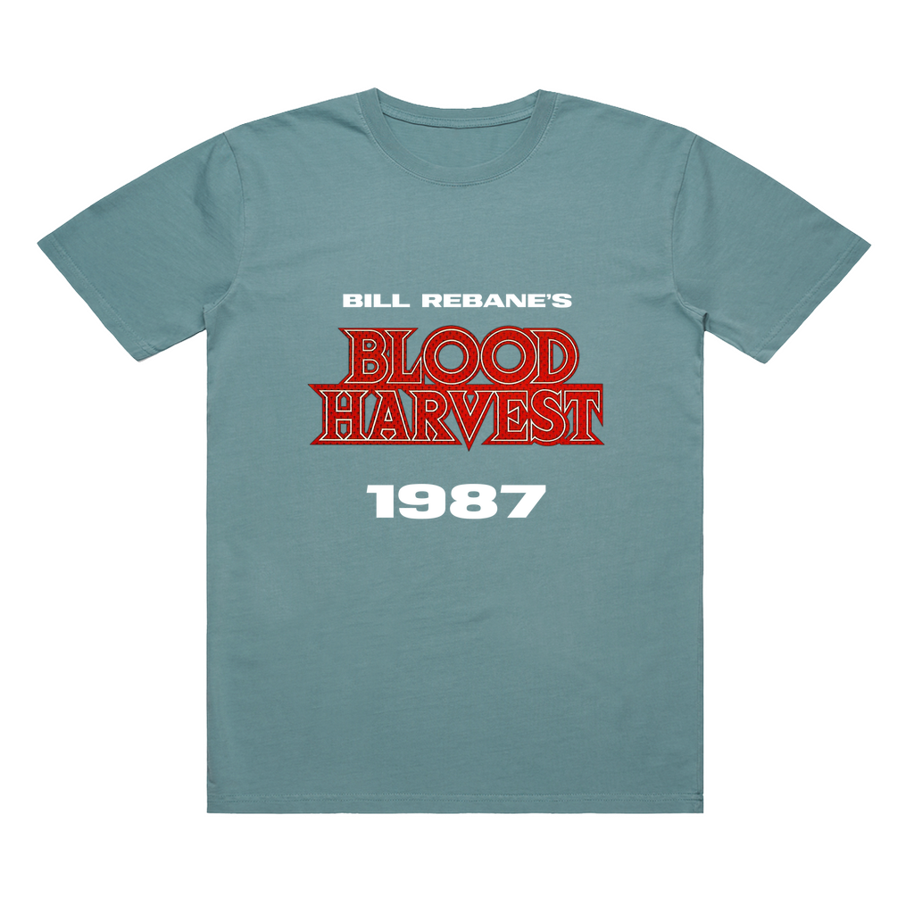 Apparel-DTG-TShirt-ASC-5065-2XL-FadedSlate-Unisex-CF-20250220063531664