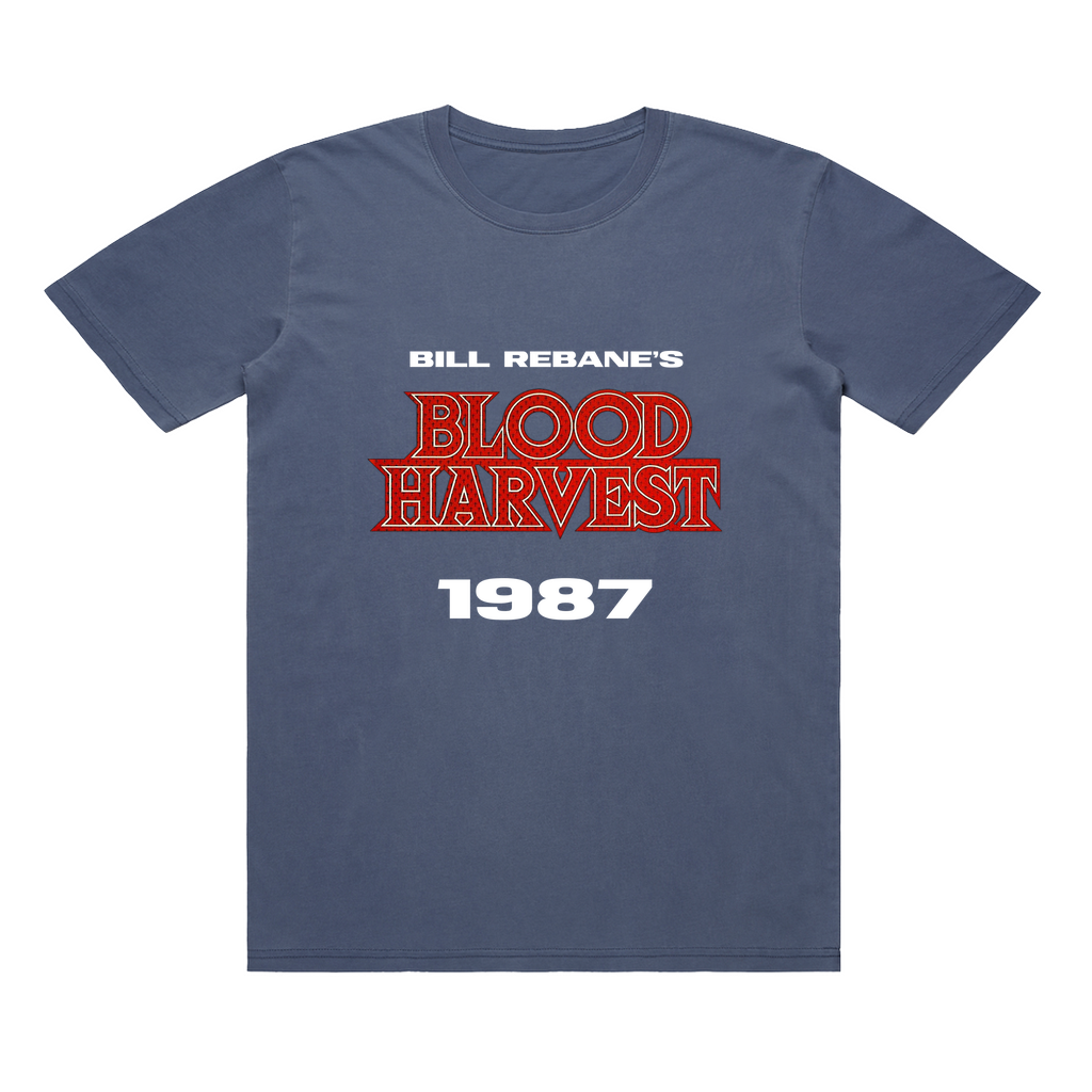 Apparel-DTG-TShirt-ASC-5065-M-FadedBlue-Unisex-CF-20250220063531664